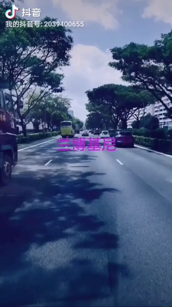 新加坡的街景，美轮美奂