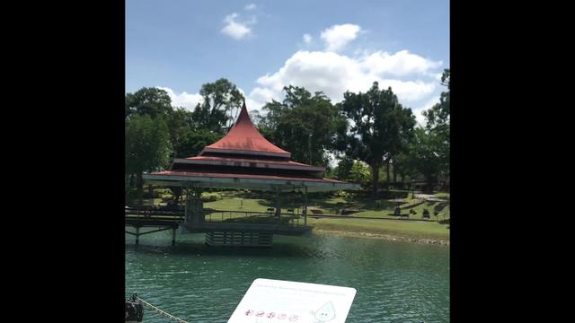 周末大自然走一走，新加坡麦里芝蓄水池。猴多，没想到人也不少。