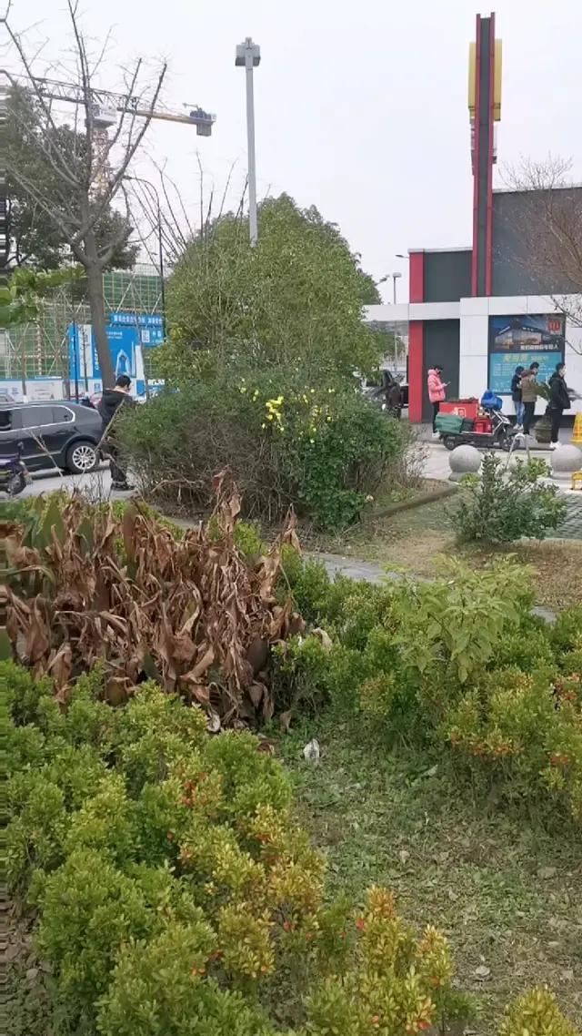 在新加坡科技园中午就是这个节奏