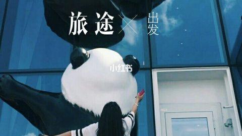 💋邮轮游全攻略💋