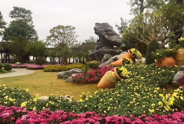 中国最大户外兰花园，有50万株兰花，是新加坡国家兰花园的7倍