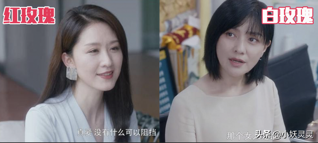 男人心中的《红玫瑰与白玫瑰》，你选择做哪个？看张爱玲高级回答
