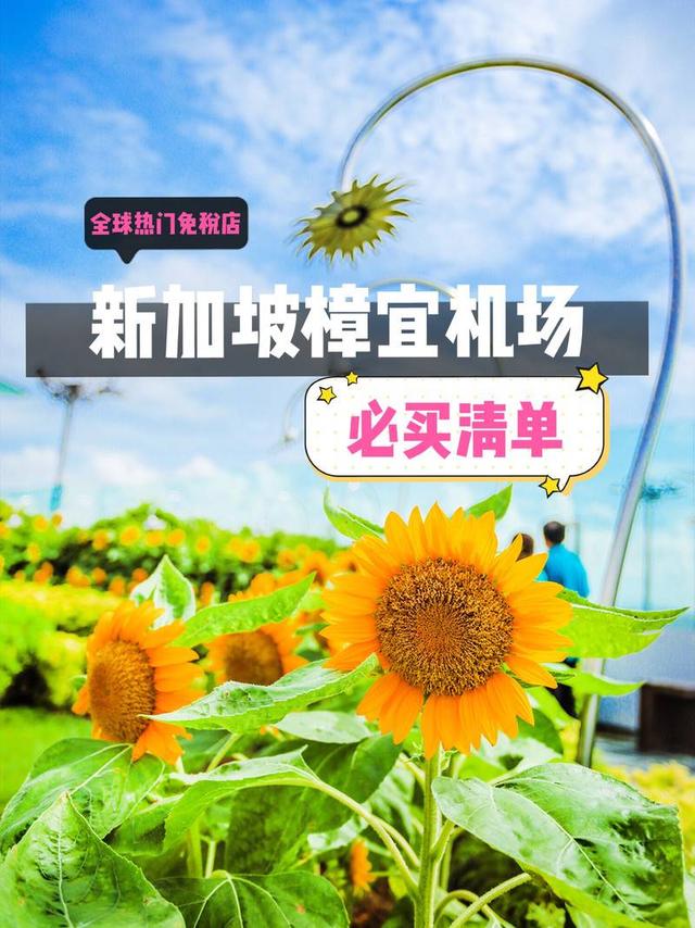 全球热门免税店新加坡樟宜机场你有一份必买清单待查收  旅行和买买买是密不可分的，没有购物的旅行，总感觉少了点神马！ 而我最爱的就是在免税店“剁手”，因为省去了繁琐的退税手续。  在网络上搜索全球十大免
