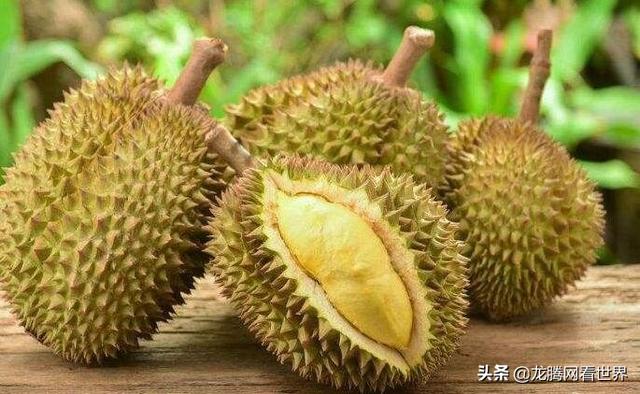「龙腾网」榴莲这种水果：闻起臭，吃来起真香