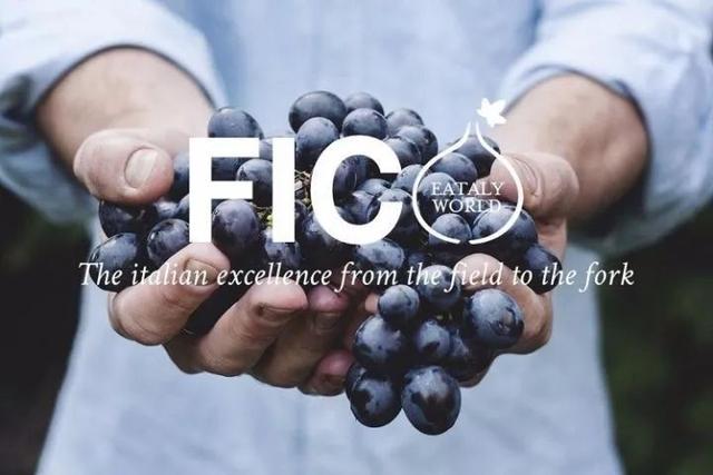 堪称“农场迪士尼”的FICO美食乐园究竟有何过人之处？