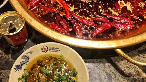 新加坡探店 | 终于有一家正宗成都火锅啦 小龙坎火锅