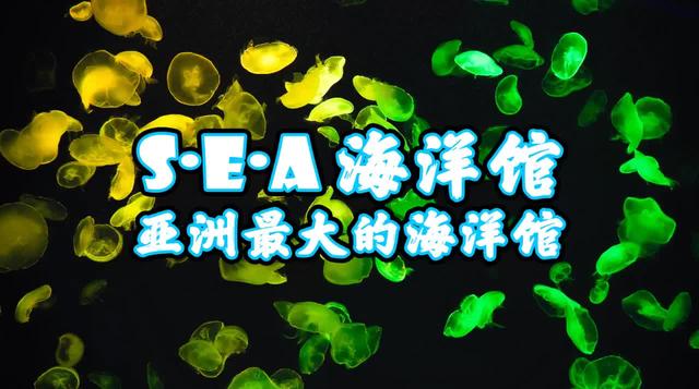 新加坡 S.E.A. 海洋馆 - 解锁春节不宅玩法 景点位置：8Sentosa