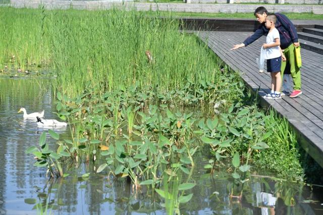 水润沣西 绿满新城