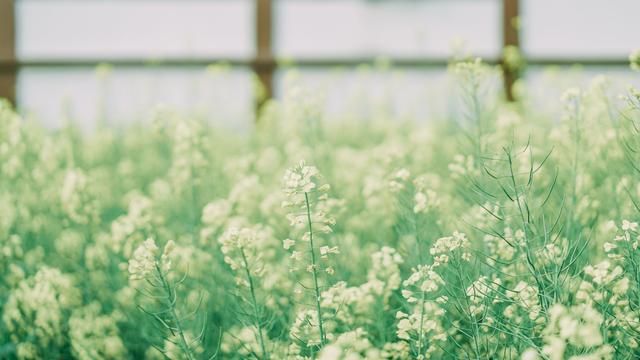 ［享・TABS］不负春光不负“亲”