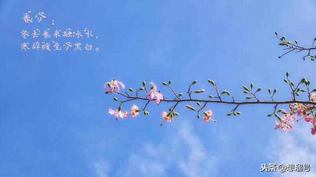 战疫素材终极版：20个首选名句，30个最美标题，10个动人事迹……