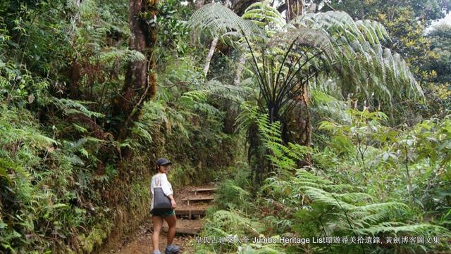 第901回：婆罗洲最高峰神山，风下之乡沙巴亚庇