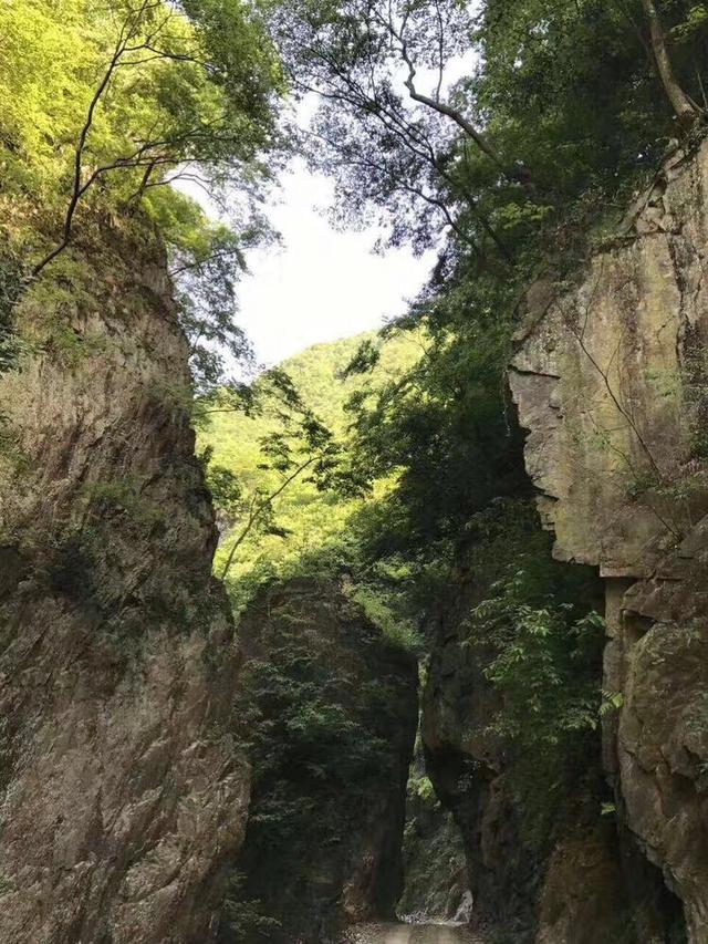 旅行：野人谷木瓜河