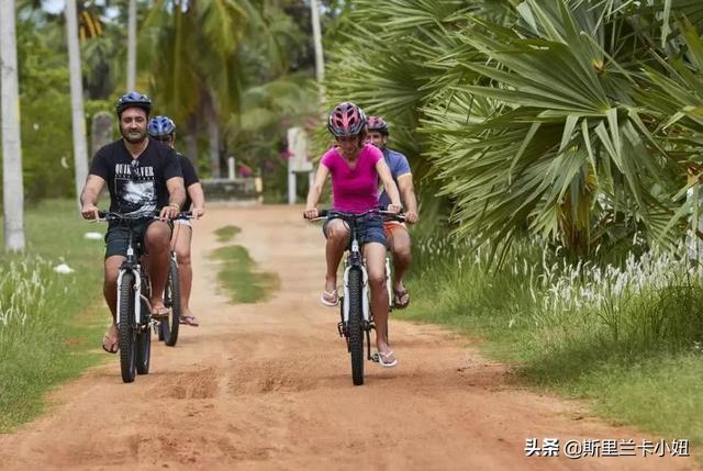 这些酒店全是它家！锡兰历史种植业巨无霸，百年前巧合涉足旅游业