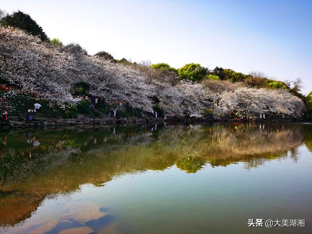 2020，随“疫”而安的我