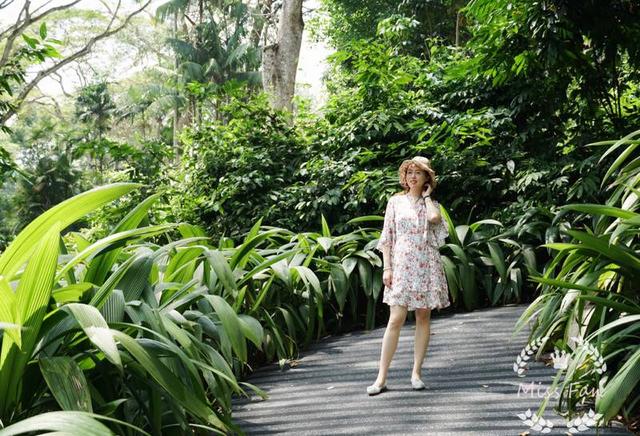 第二天打卡了新加坡动物园 看了很多小伙伴推荐夜间动物园 综合比较之下我们还是选择了日间动物园 大晚上实在的不想跑太远 新加坡的花园城市之名真的不是浪得虚名 绿化覆盖率真的超级高 动物园不大 动物种类也