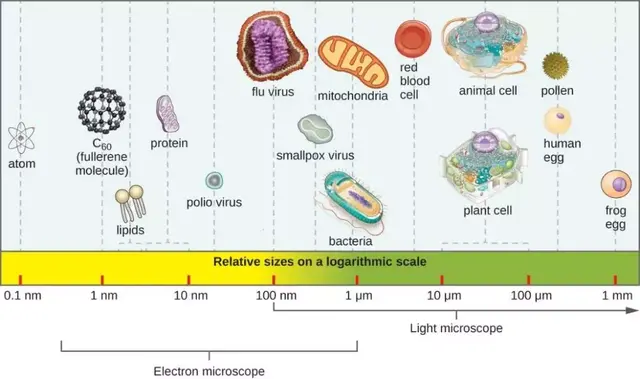 科学使用口罩