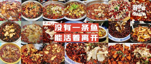 这篇推送堪比神仙打架！菊花喷火的感觉，了解一下？