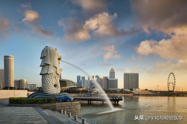 新加坡"佛系防疫"，为什么能控住疫情？