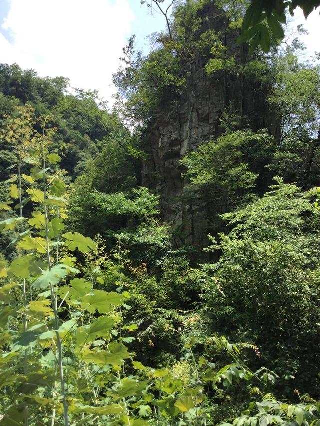 旅行：野人谷木瓜河