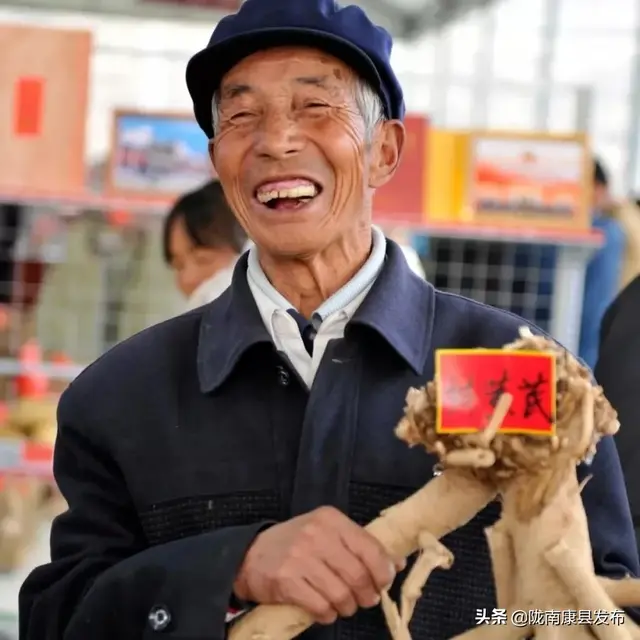 “挂帅”中药抗疫，陇南黄芪销四方!