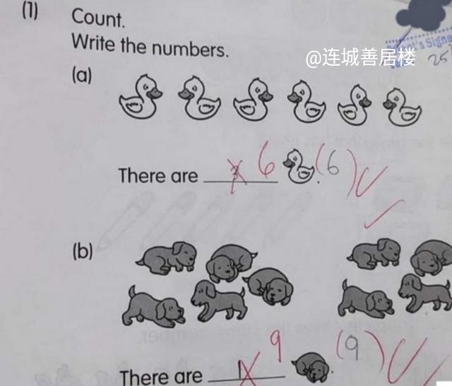 新加坡小学一年级一道数学习题网上掀起全城热议