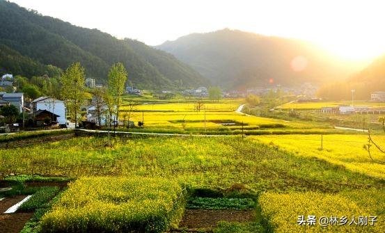 后疫情时代，乡村旅游发展的成功模式