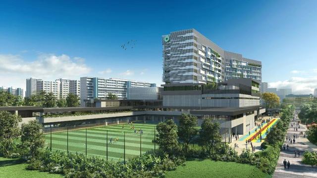 BM宝麦蓝作品 | 新加坡NEXUS莱仕国际学校
