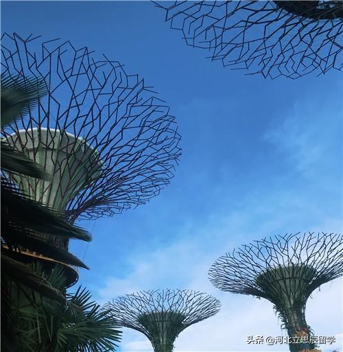 新加坡低龄留学，想少花钱该怎么办？