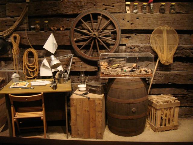 时光留影：Singapore新加坡