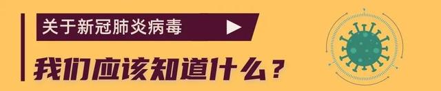 张文宏：今夏疫情会经历低谷，冬天是否复发不好说，来来回回持续一两年也是正常的；只要少社交、戴口罩、洗手，就可以基本上避免感染