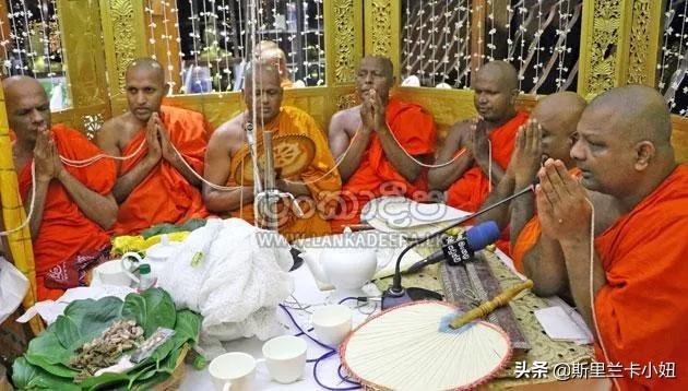 这些酒店全是它家！锡兰历史种植业巨无霸，百年前巧合涉足旅游业