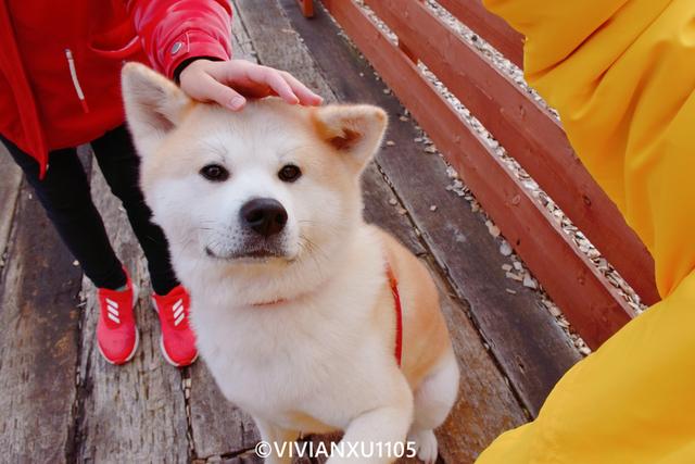 塑料母女深度解锁日本东北秋田县&山形县