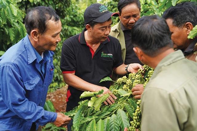 雀巢越南公司向世界推出优质越南咖啡产品