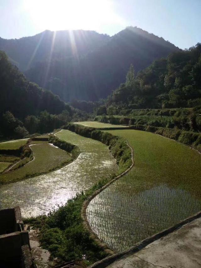 旅行：野人谷木瓜河