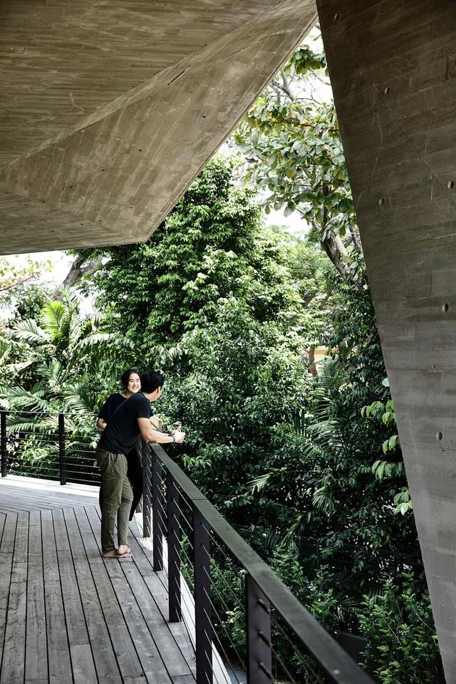 绿树环绕的新加坡多层现代住宅，花园空间提供了自然的绿化层