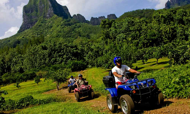 法属波利尼西亚2020旅游攻略，全面介绍交通美食景点，玩转大溪地