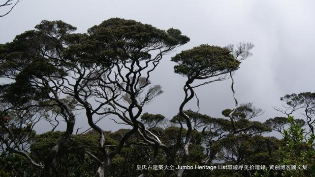 第901回：婆罗洲最高峰神山，风下之乡沙巴亚庇