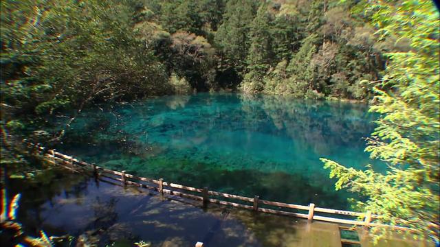 新加坡综艺《我的导游是明星7》四川003：九寨沟