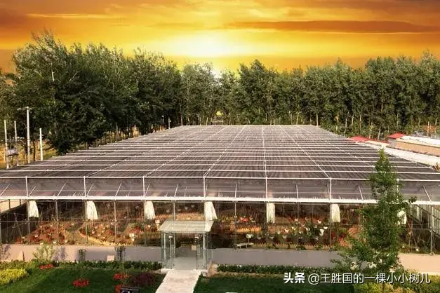 都市农业未来在哪？谁来种地？怎样种好地？看10万家示范家庭农场