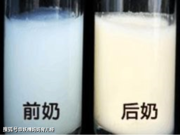 “母乳”放大1000倍，显微镜下是活的会动，网友：世间最好的食物