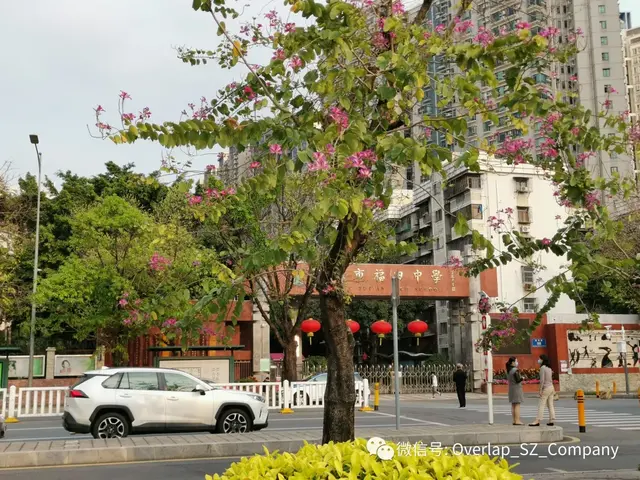 三月，该怎么打开？防疫与工作进行时，都不可耽误。