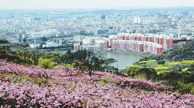 龙泉驿“十大历史名人”榜单来了！他们的事迹你知道吗？