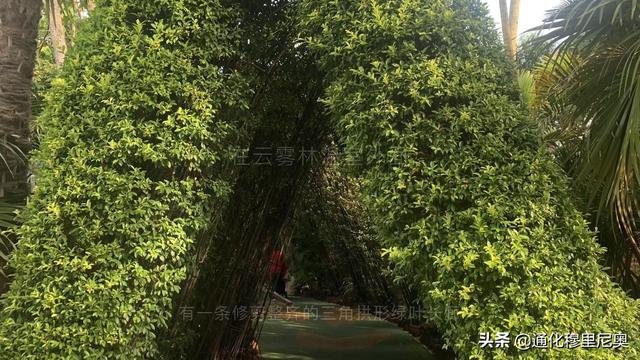 用iPad的iMovie编辑制作的新加坡自由行06（滨海湾的儿童乐园）