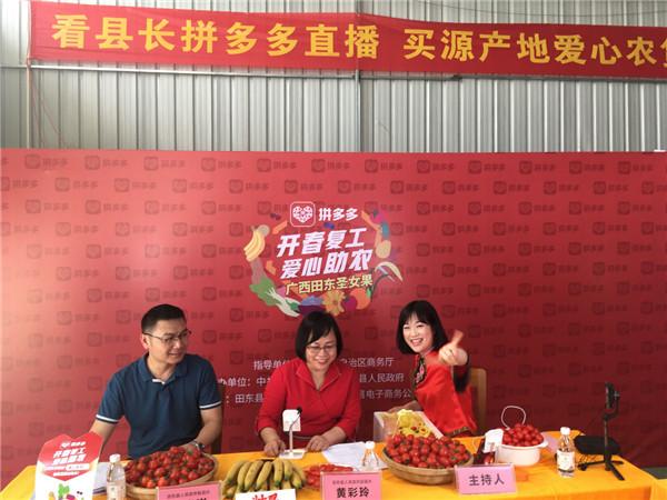 两位县长变身“直播达人”：超72万拼多多用户围观，28吨圣女果售罄
