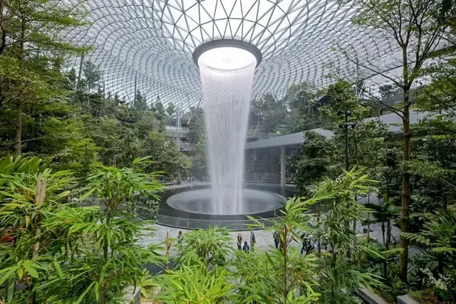 新加坡星耀樟宜：炫彩迷宫中探索森林之音!