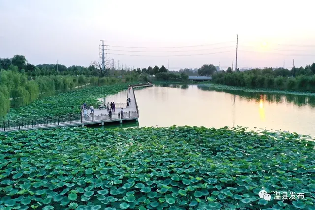 奋进温县出彩，待你逐梦而来！