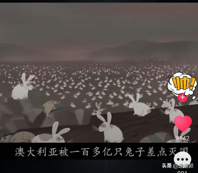 差点被兔子灭国的国家发明了塑料钞， 央行透露新版5元是塑料钞