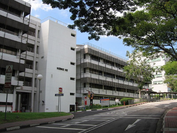 抗疫 | 新加坡国立大学研发出人流监控系统