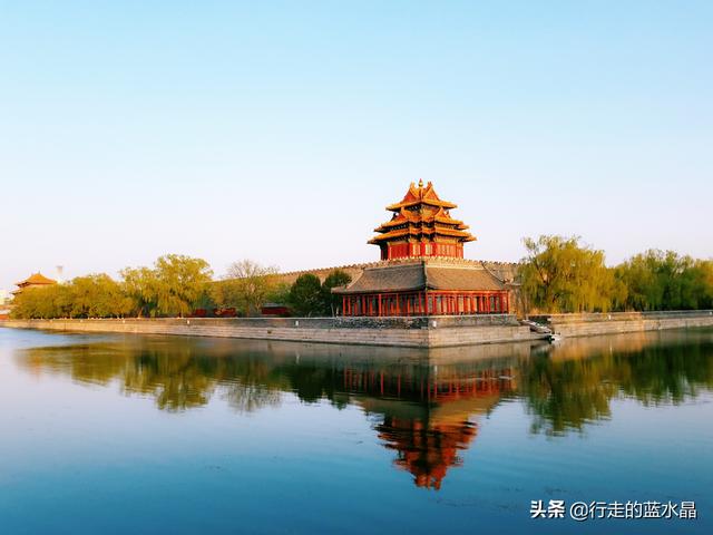 【五一去哪玩】北京春天最美的一抹金色  #唤醒好春光#