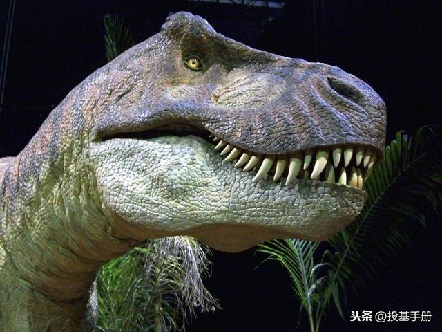 华尔街No.1巨无霸对冲基金的兴起和覆灭（上）